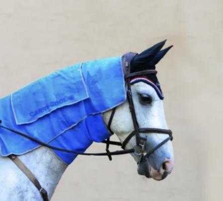 Carry-Cool® Sport Horse Cooling Kit
