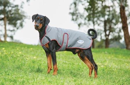 ComfiTec Premier Free Parka Deluxe Dog Coat