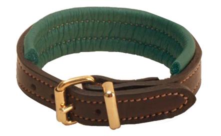 Roller Buckle Padded Bracelet HAVANA/GREEN