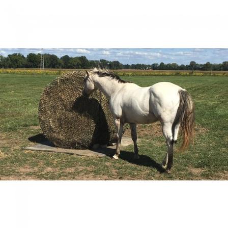 Round Bale Net - 6ft X 6ft