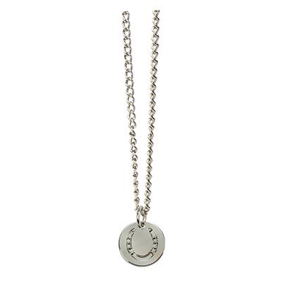 Horseshoe Pendant Necklace