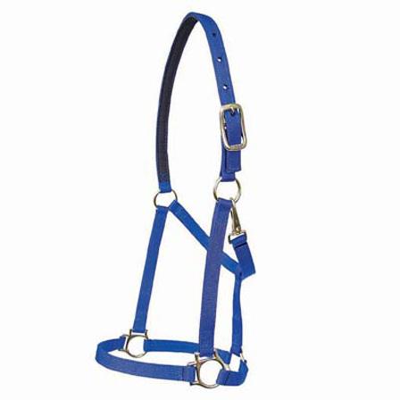 Walsh Victory Halter