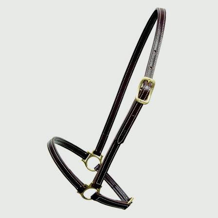 Walsh Leather Grooming Halter