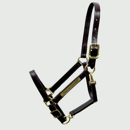 Walsh Classic Halter