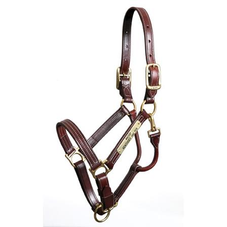 Walsh Kentucky Halter