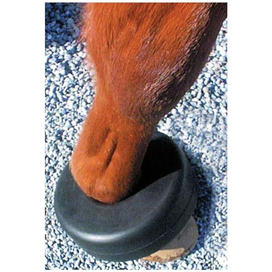 Show Boil Boot
