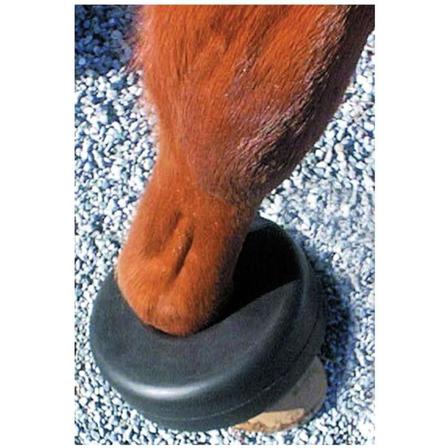 Show Boil Boot