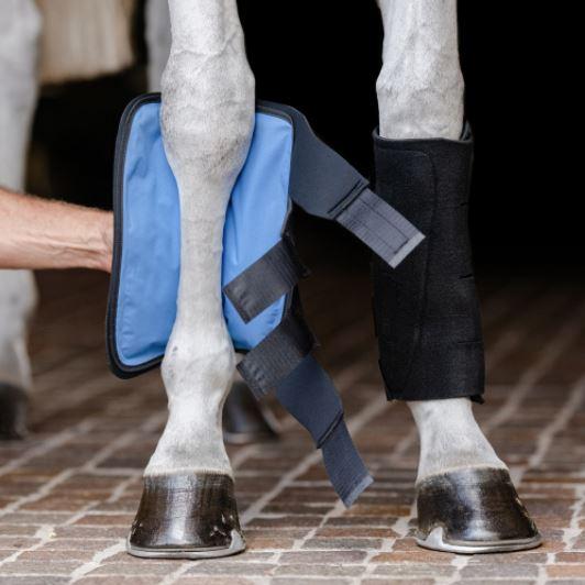  Essential ®: Cold Therapy Tendon Boot - Pony