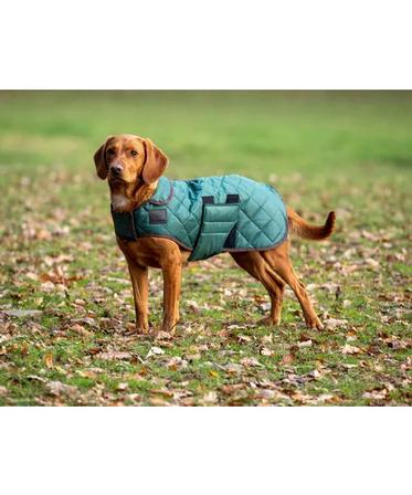 Digby & Fox Quilted Dog Coat FOREST