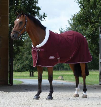 Sherpa Fleece Cooler Standard Neck