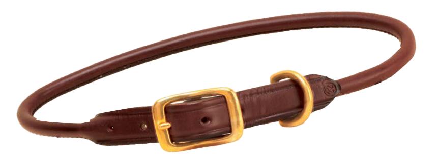  Rolled Collar With Brass Buckles And Dees