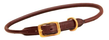 Rolled Collar With Brass Buckles And Dees HAVANA