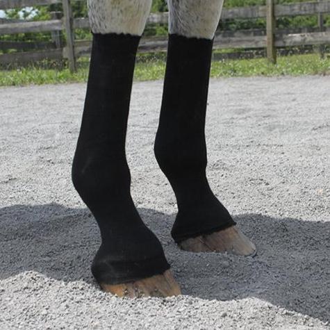 Horsesox ™- 10 Yards