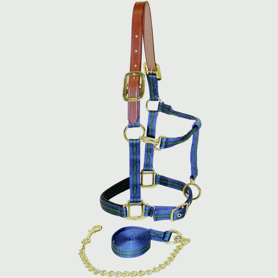 Horse Fare Striped Breakaway Nylon Halter