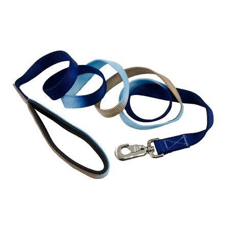 Horse Fare Blues Nylon Lead with Chain