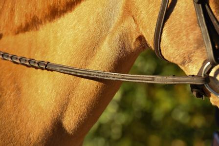 Fancy Stitch Braided Reins