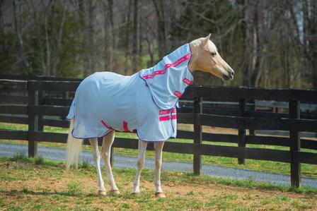 Amigo® Pony Bug Rug AZURE/WHT/PINK/BLUE