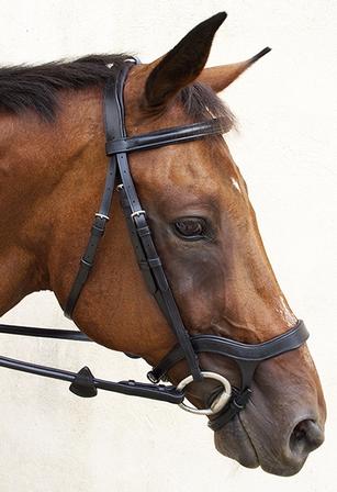 Innovativo English Bridle BLACK