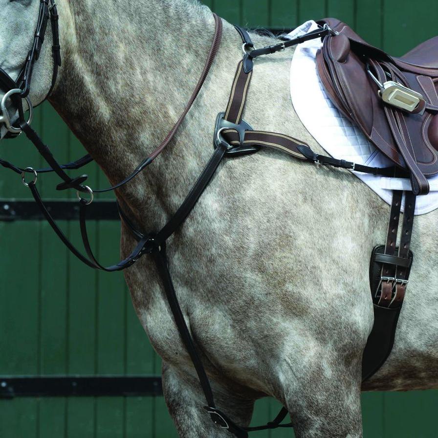  Essential 5- Point Breastplate