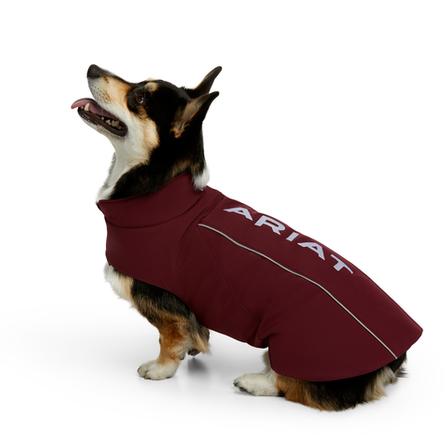 Team Softshell Dog Jacket