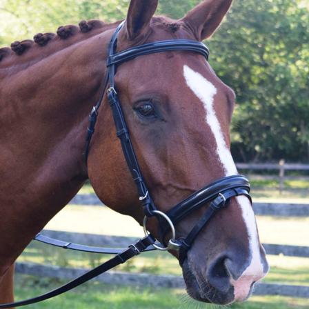 Juniper Dressage Bridle