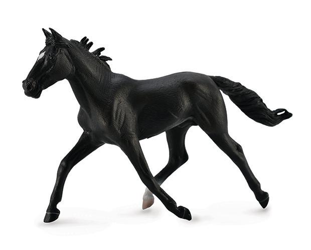 Black Standardbred Pacer Stallion