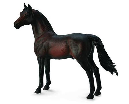 Bay Morgan Stallion Miniature