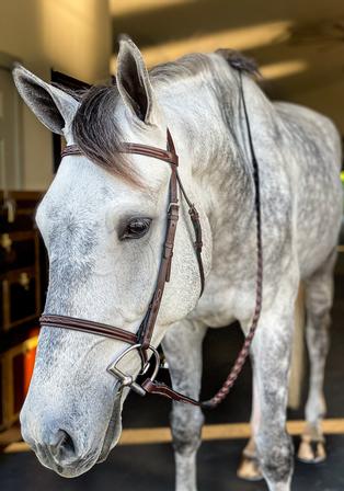 Heritage Fancy Stitched Bridle