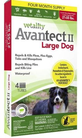 AVANTECT II FOR DOGS - Large Dog 21-55lbs
