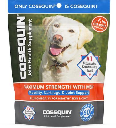 Maximum Strength with MSM Soft Chews