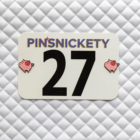 Number Pins FLYING_PIG