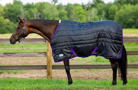 Kozy Komfort Stable Blanket BLACK