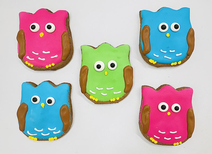 It's Owl Good