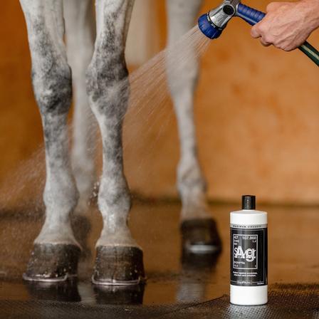 AgSilver Maximum Strength CleanWash™