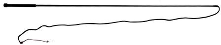 Lunge Whip