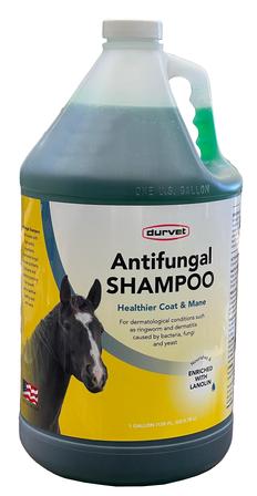 Antifungal Shampoo