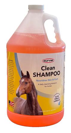 Clean Shampoo