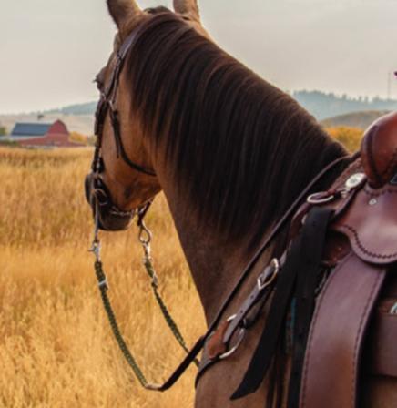 Adjustable Reins