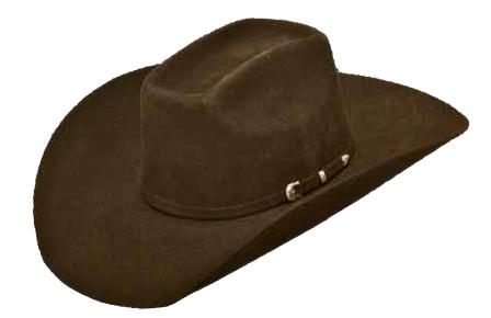 2X Wool Hat