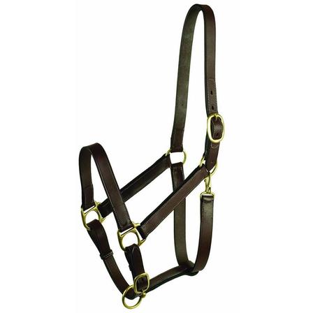 Gatsby Adjustable Halter with Snap - Cob