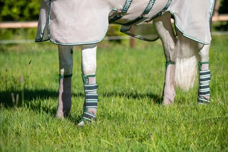 Fly Boots
