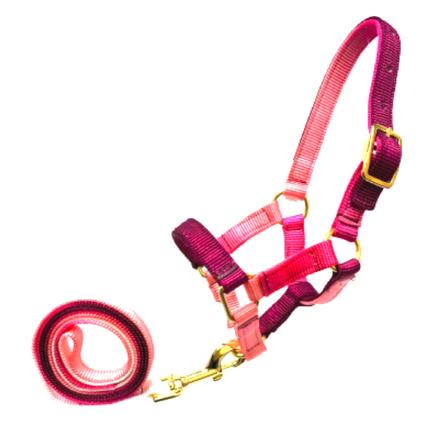 Miniature Horse Halter with Lead