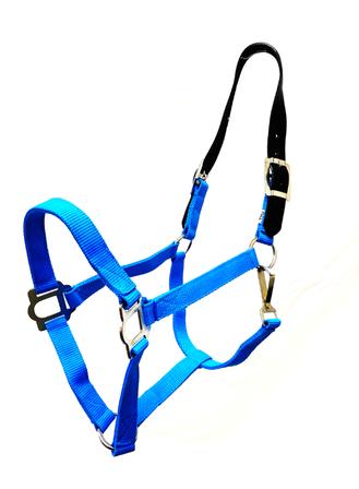 Nylon Breakaway Halter