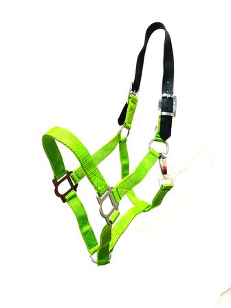 Nylon Breakaway Halter LIME