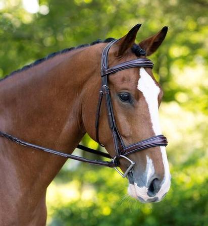 Hampton Bridle