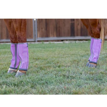 Deluxe Fly Boots ORCHID