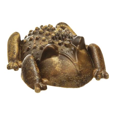 Chew-A-Bulls Horned Toad