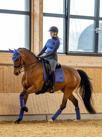Spectrum Dressage Pad