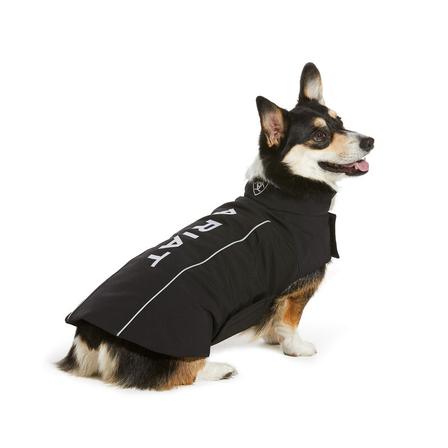 Team Softshell Dog Jacket