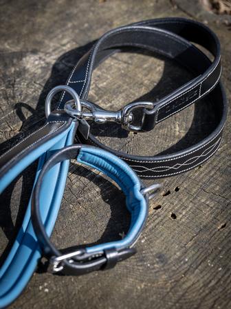 Windsor Dog Leash